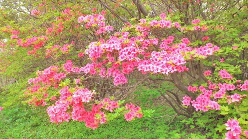 Kadoya Ryokan นาสุชิโอบาระ ภายนอก รูปภาพ